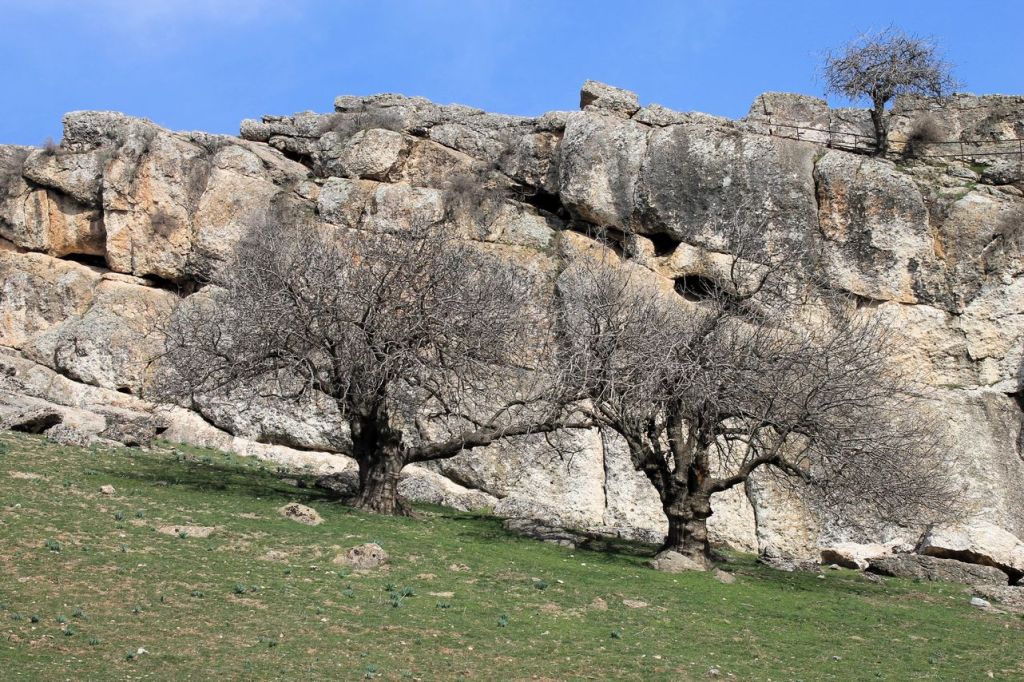 Uzbekistan. Spring on Krasnogorsk&nbsp;hills.