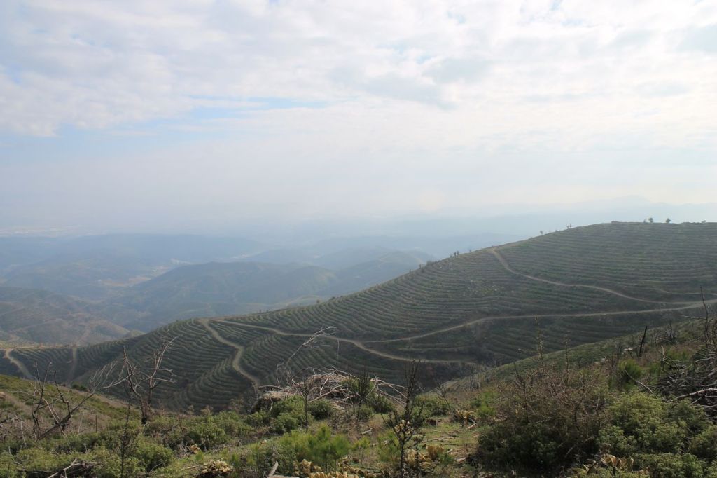 Turkiye. Kavagik-Chatalca.