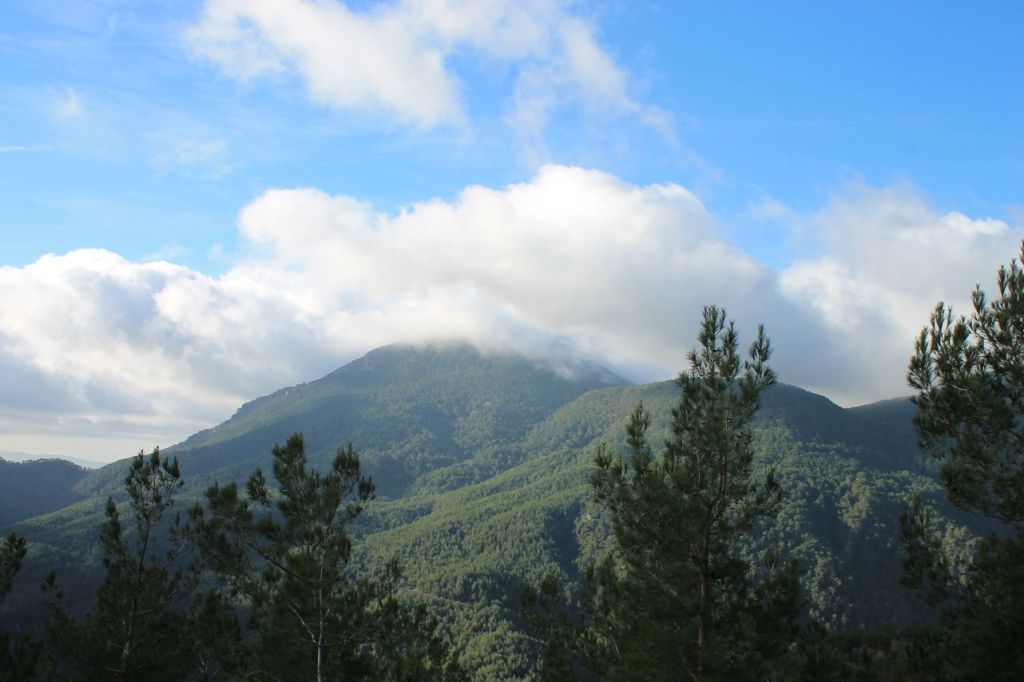 Turkiye. Mt. Nif (1510m).&nbsp;#1