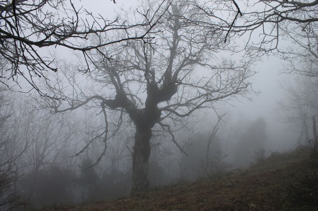 Turkiye. Chiplak-Tepe. Ören –&nbsp;Bayramlar.