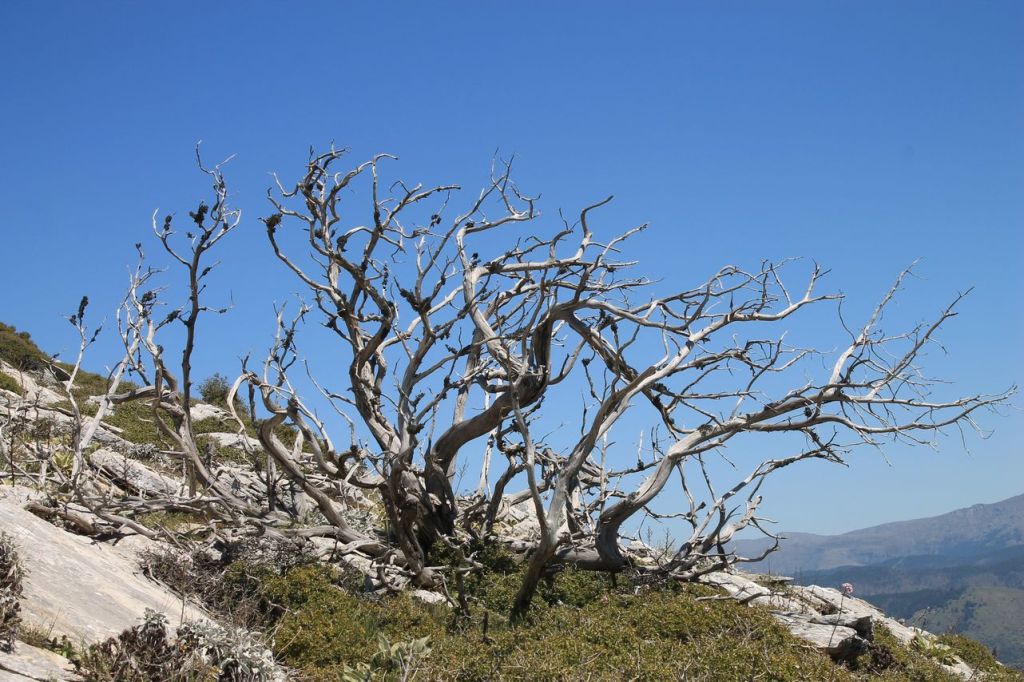 Turkiye. Kızılca – Keldağ – Lübbey köyü. Creepy&nbsp;village.