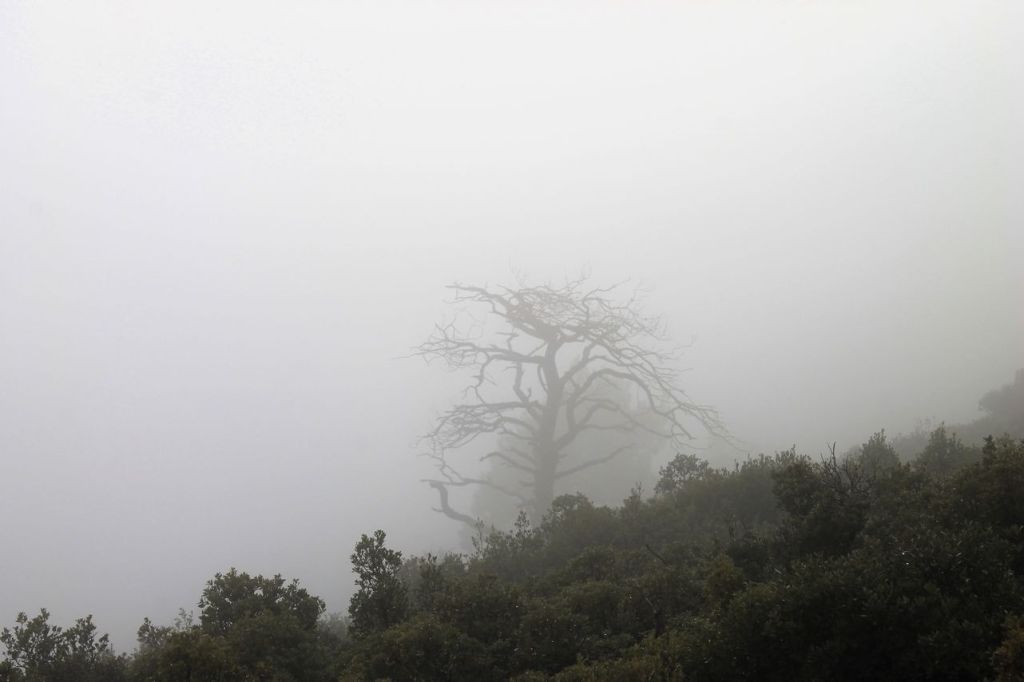 Turkiye. Kavaklidere –&nbsp;Nazarkoy.