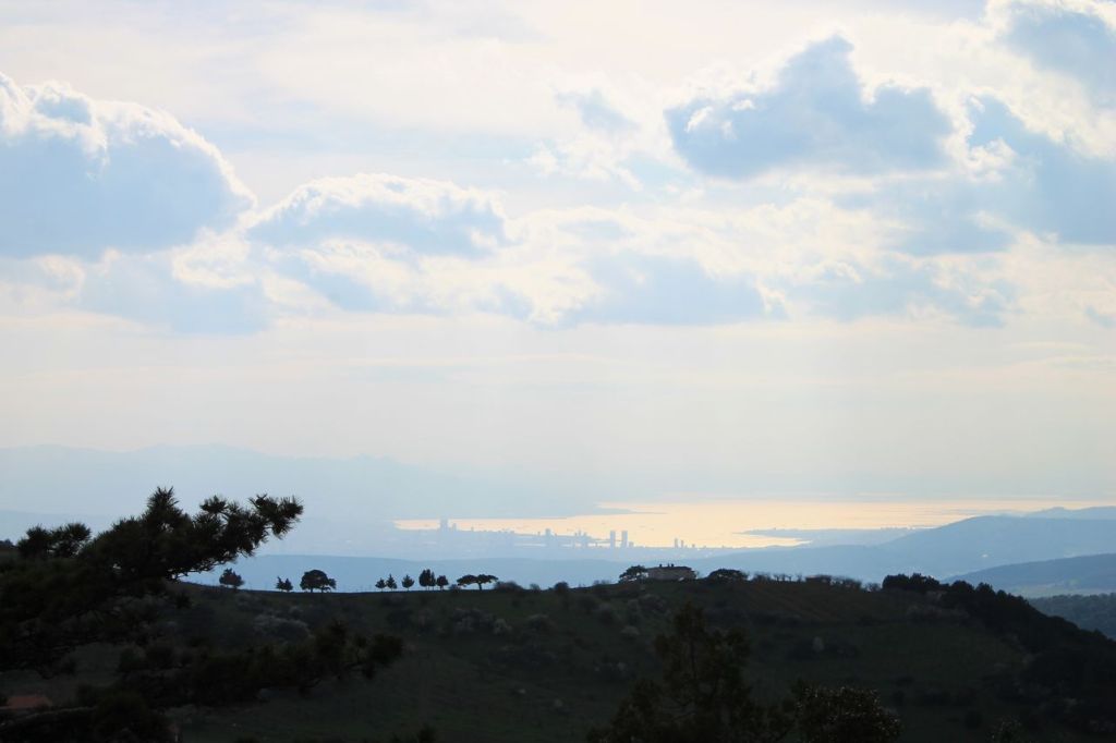 Turkiye. Mt. Spil (1530m) #5.